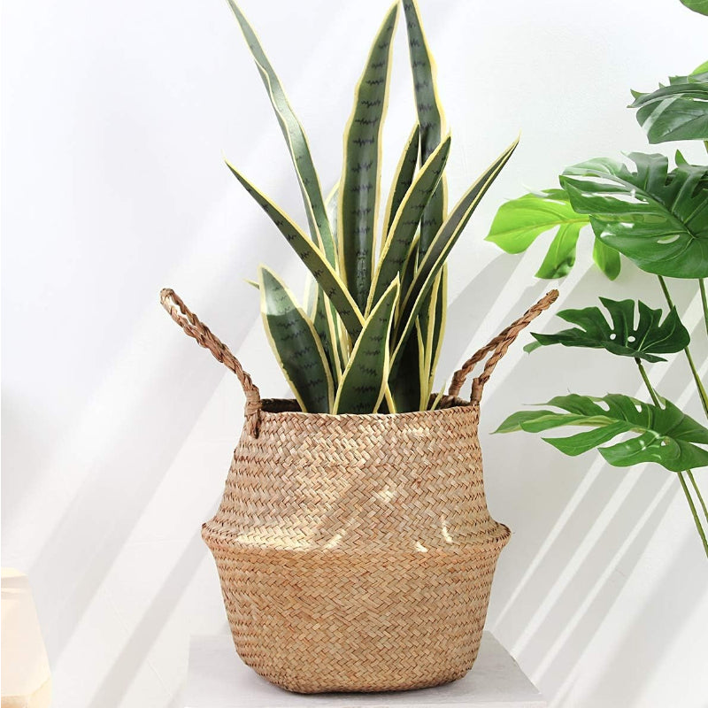 Seagrass Belly Storage Basket